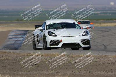 media/May-03-2024-PCA Central Coast (Fri) [[eaa7da0ee1]]/Red Group/Session 1 (Grapevine)/